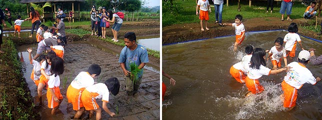 Mengenal negara agraris
